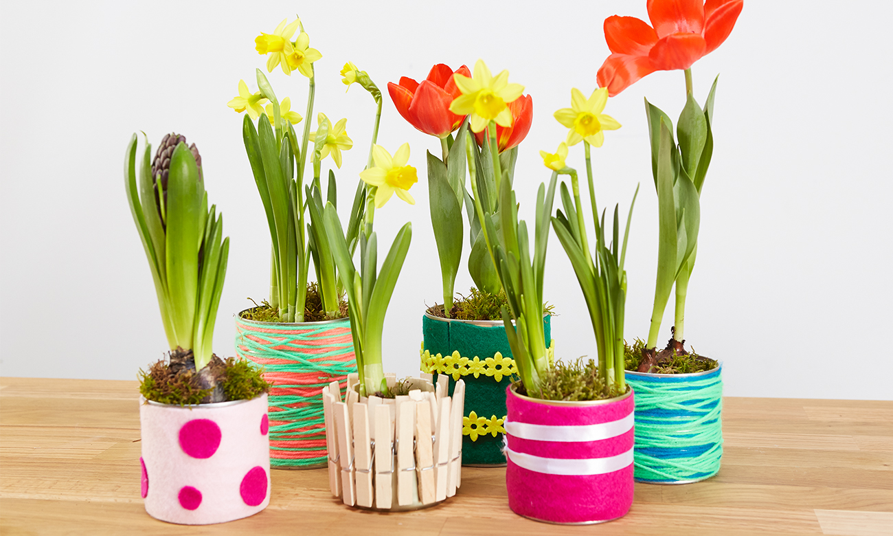 Саксии от консервни кутии