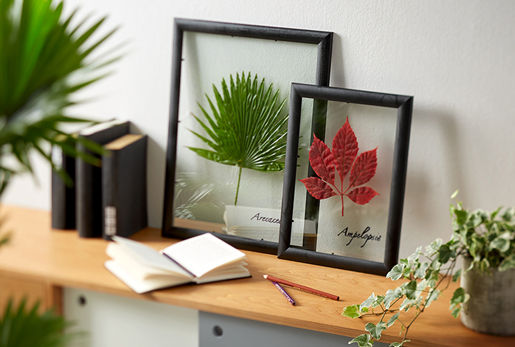 Съхрани си спомен от есента