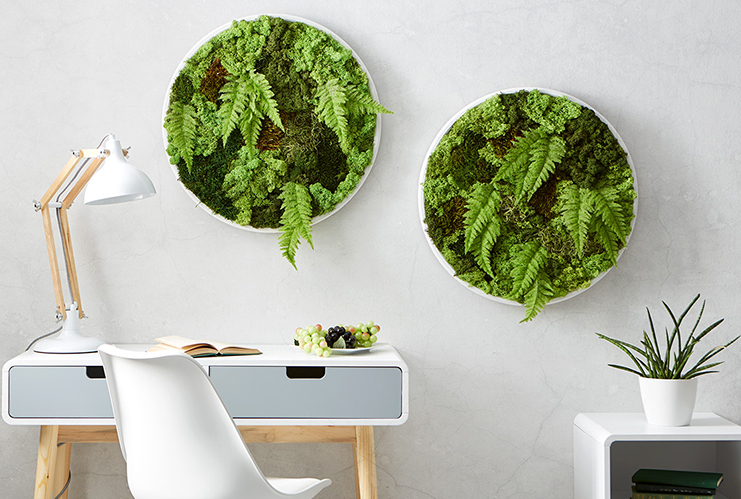 Жива картина с мъх