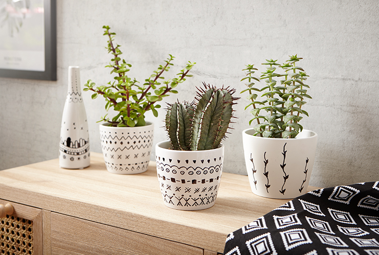 Саксии с етно дизайн
